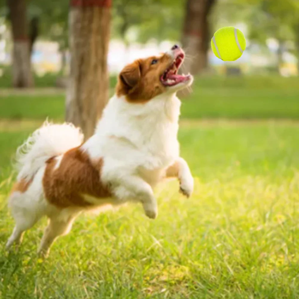 Interactive Dog Toys Tennis Balls for Playing, Teeth Cleaning, 6Pack