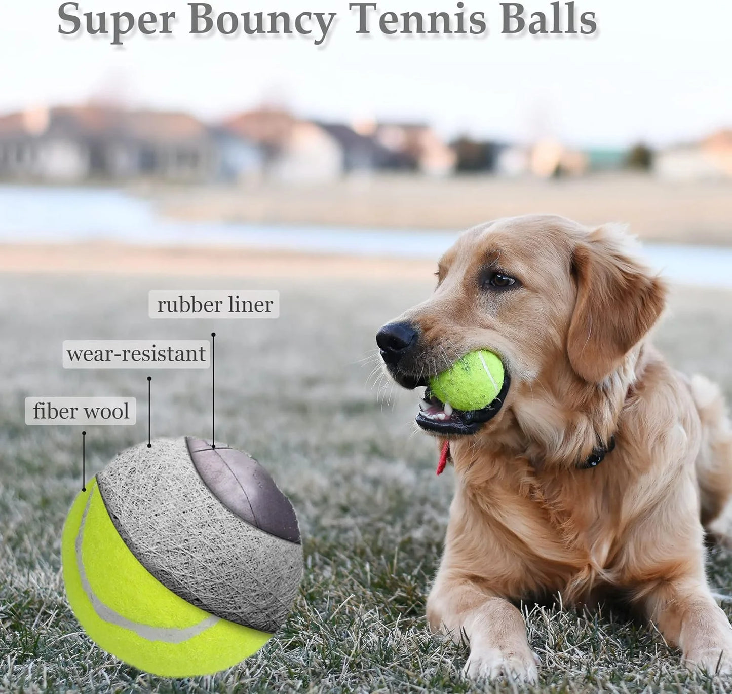 Interactive Dog Toys Tennis Balls for Playing, Teeth Cleaning, 6Pack