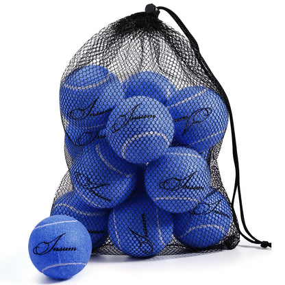 Pet Dog Tennis Ball 12Pcs/Mesh Bag for Easy Carry Multiple Color Options Advanced Training for Beginner Practice Dog Toy