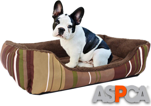 Microtech Dog Bed, for Small to Medium Pets, Brown